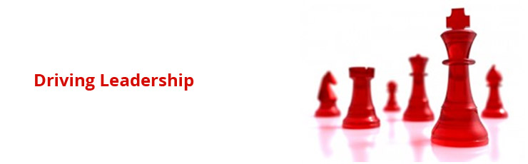 Driving Leadership